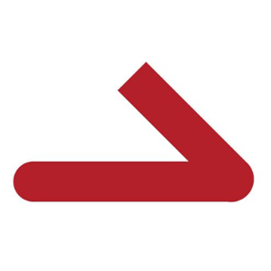 Online Kongress System